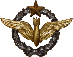 Нагрудный знак Бомбардир 