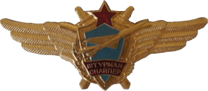 Нагрудный знак Штурман снайпер 