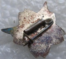 Badge  