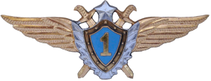 Нагрудный знак Летчик 1 класса 