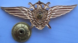 Badge Pilot 1st class 