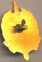 Badge  