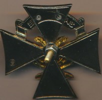 Нагрудный знак За отличие ВВС 