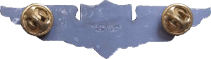 Badge Specialist of Air Force Finance Department (enlisted) 