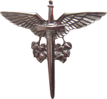 Badge Traffic control 