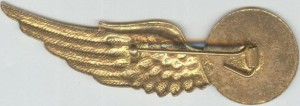 Badge Air Gunner 