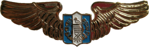 Нагрудный знак Пилот 