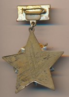 Нагрудный знак Ветеран 120 стрелковой Гатчинской краснознаменной дивизии 11 сб-142 мсб  