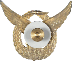 Badge Navigator 1st class 