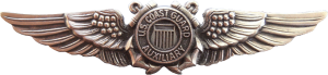 Badge US Coast Guard Auxiliary Aviator Wing 