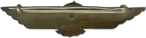 Badge Italian expeditionary force aviator 