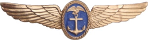 Нагрудный знак Пилот 