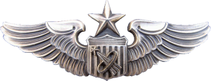 Нагрудный знак Старший астронавт 