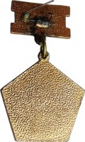 Нагрудный знак 113 Краснознаменная Ленинградская БАД 1941-1945 