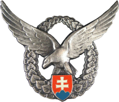 Badge Navigator 2nd class 