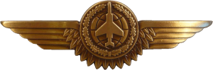 Badge Observer 3rd class 