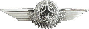 Badge Observer 2nd class 