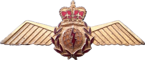 Нагрудный знак Штурман 
