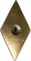 Нагрудный знак УПИ 