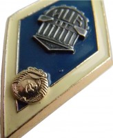 Нагрудный знак УПИ 