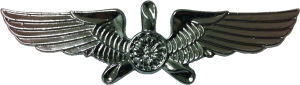 Нагрудный знак Пилот 