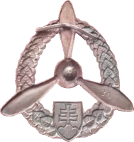 Badge Technician 2nd class 