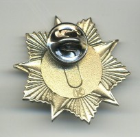 Нагрудный знак Ветеран войны 1941-1945 