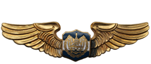 Нагрудный знак Пилот 