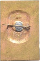 Нагрудный знак М. П. Лазарев. 
