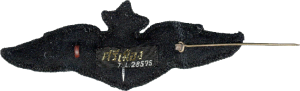Badge Senior pilot 