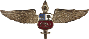 Badge Pilot 