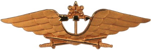 Badge Meteorology 
