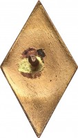 Нагрудный знак Новочеркасский Политехнический Институт (НПИ) 