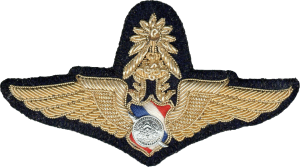 Нагрудный знак Мастер пилот 