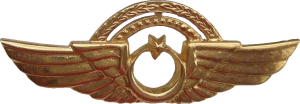 Badge Pilot, 1000 hours. 