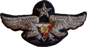 Badge Senior pilot 
