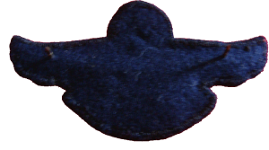 Badge Senior pilot 