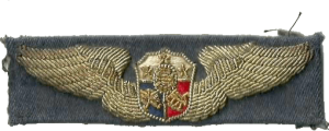 Нагрудный знак Пилот 
