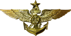 Badge Senior pilot 