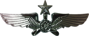 Нагрудный знак Старший пилот 