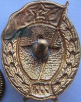 Нагрудный знак  Авиационного нормального училища 1954-1958 