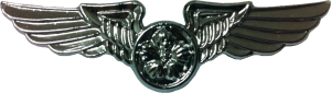 Badge Air crewman 
