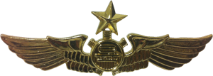 Badge Senior mechanic 