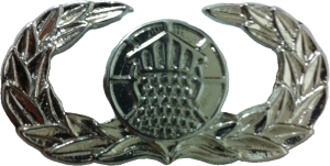Badge Air traffic control 