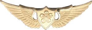Нагрудный знак Пилот 