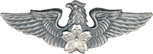 Нагрудный знак Пилот 