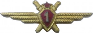 Badge Pilot 1st class 