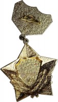 Нагрудный знак 35 лет Победы. Участнику Великой Отечественной Войны 