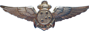 Badge Pilot 