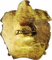 Badge  